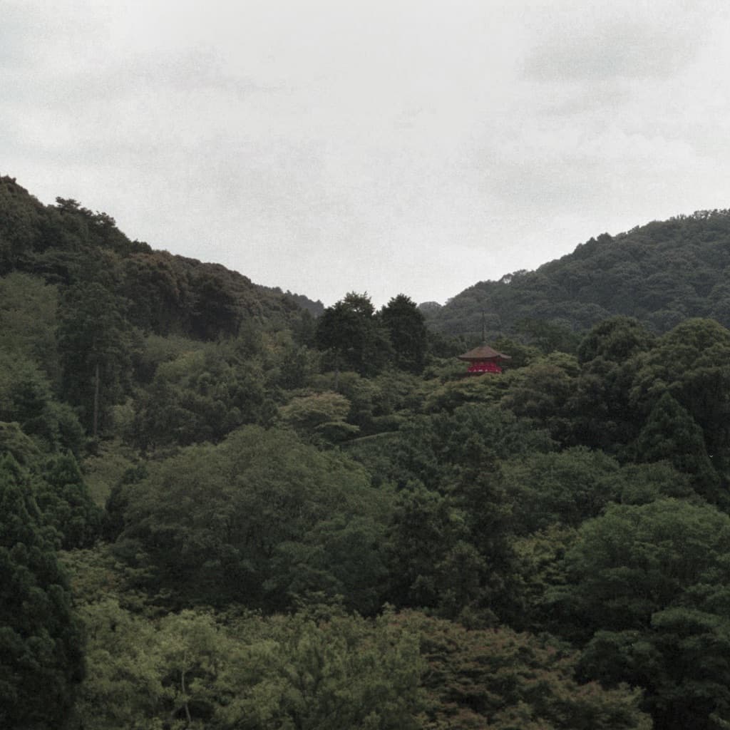 201-image