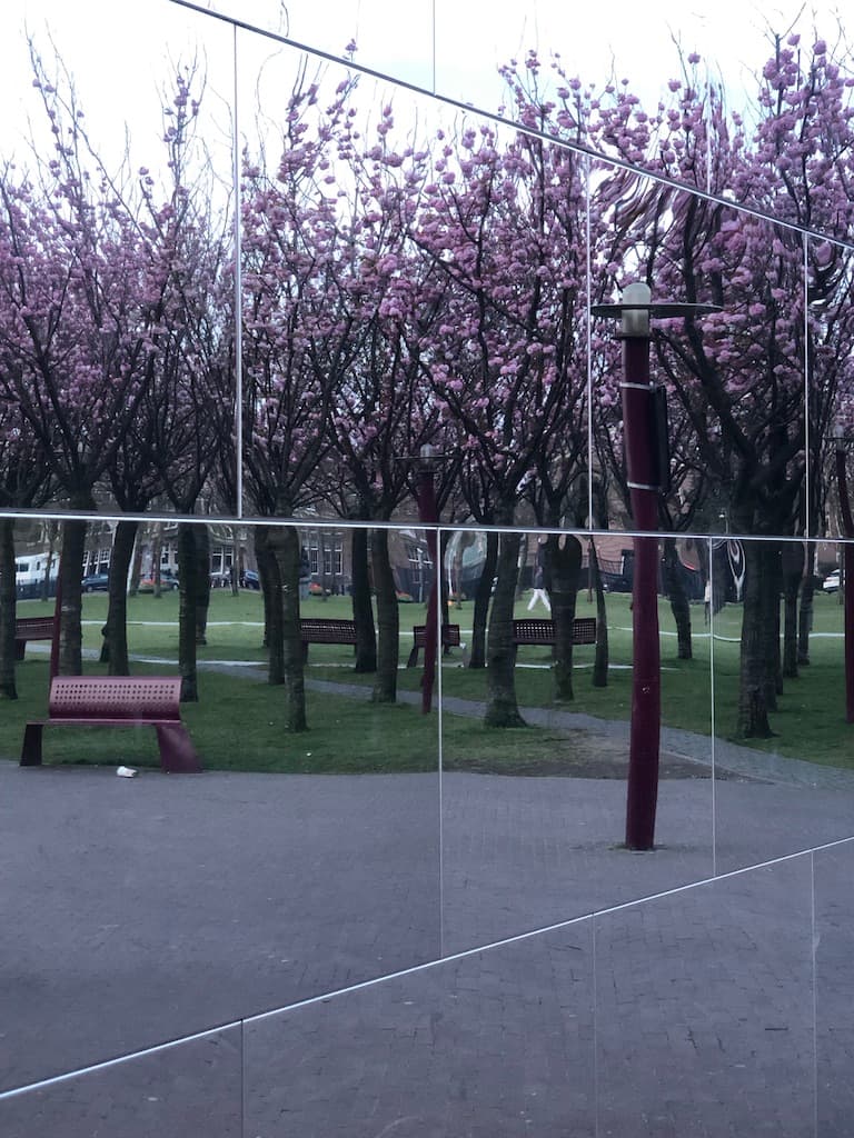 215-image