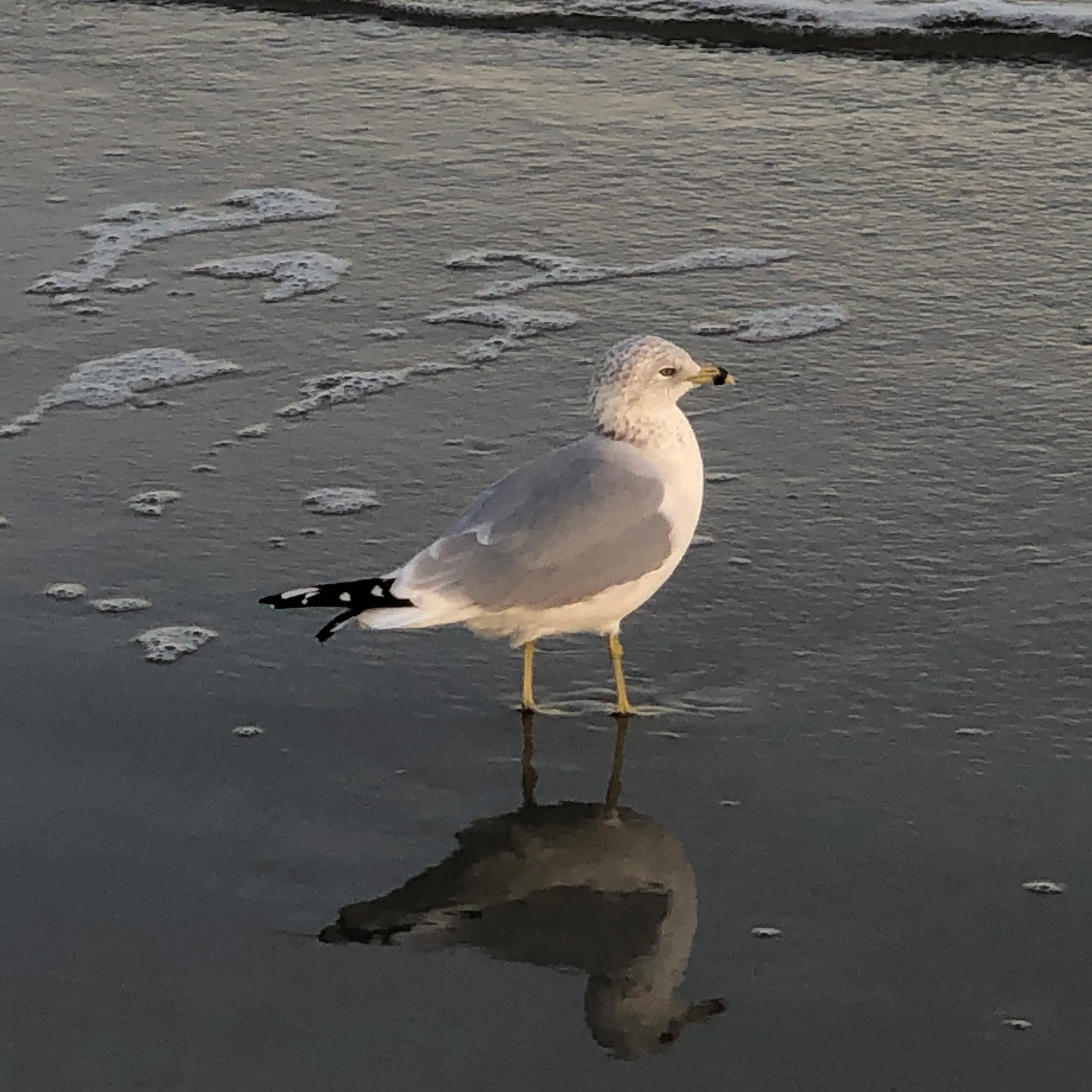 img-3808