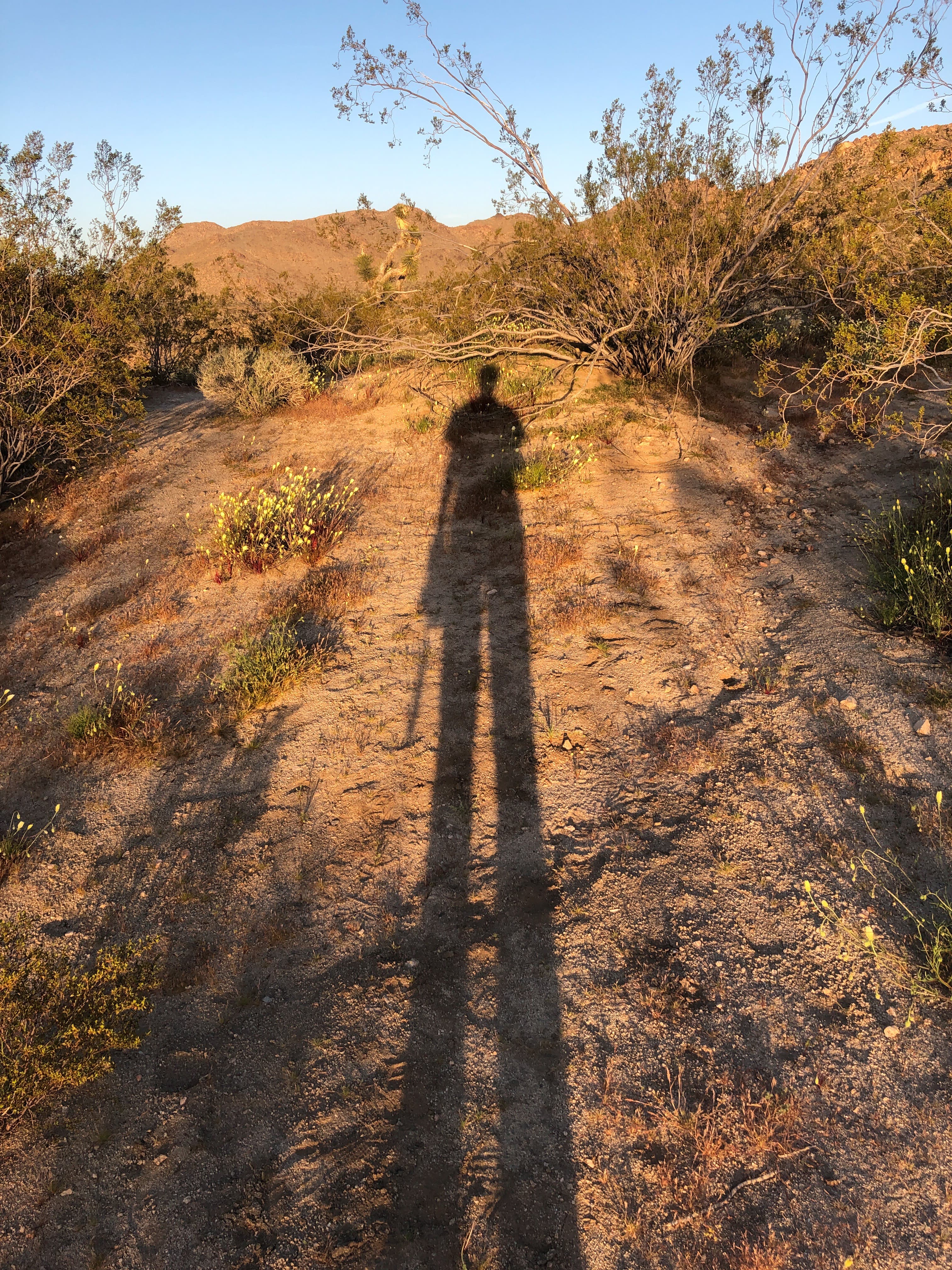 img-6128