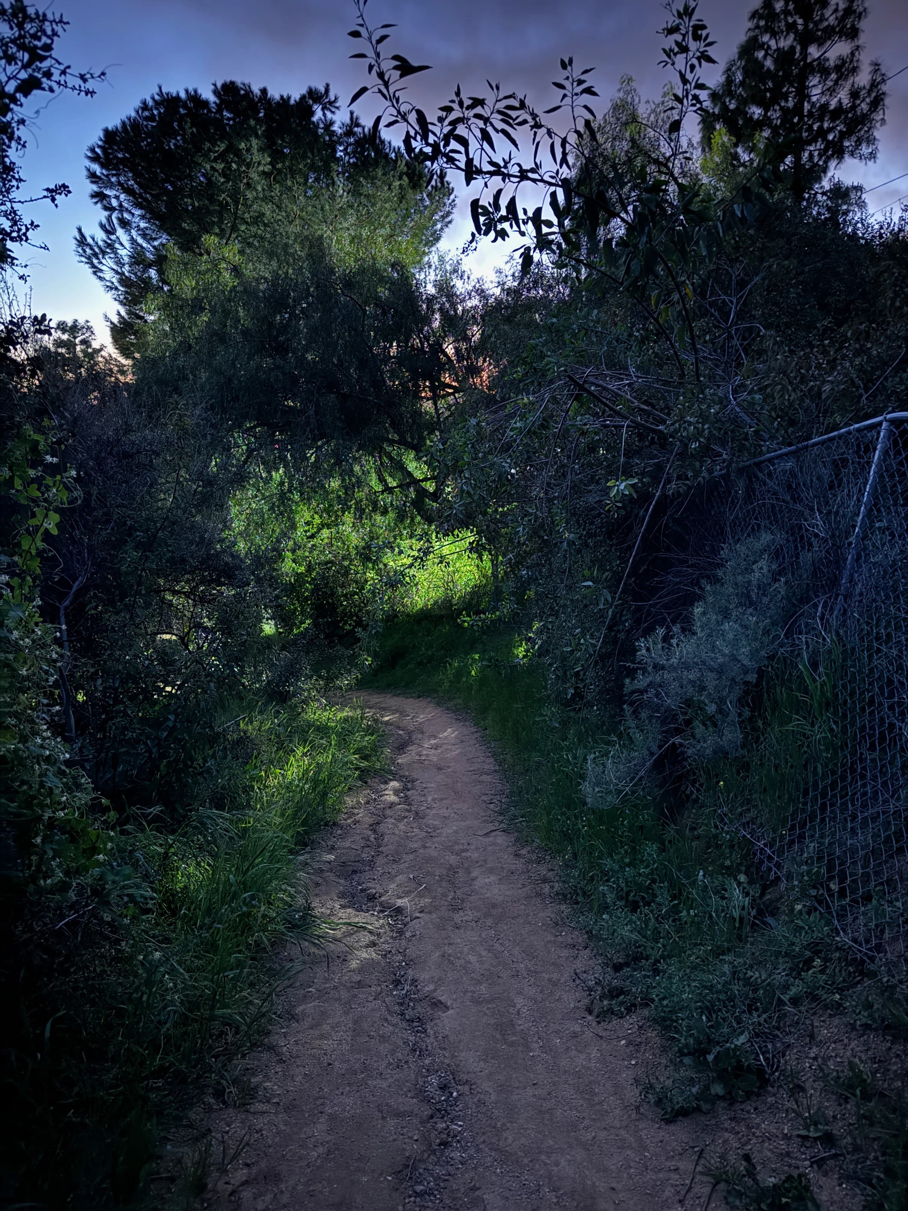 img-0827